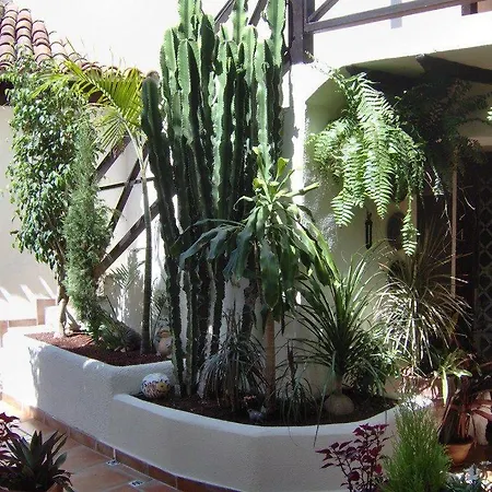 Apartamentos-monasterio-de-san-antonio-modernes-apartment-mit-balkon-und-meerblick