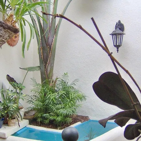 Apartamentos-monasterio-de-san-antonio-modernes-apartment-mit-balkon-und-meerblick Apartment *