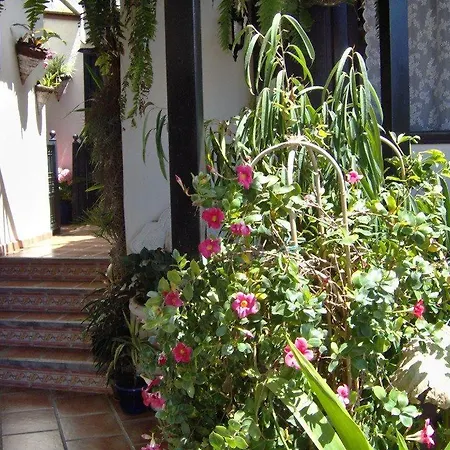 Apartamentos-monasterio-de-san-antonio-modernes-apartment-mit-balkon-und-meerblick *